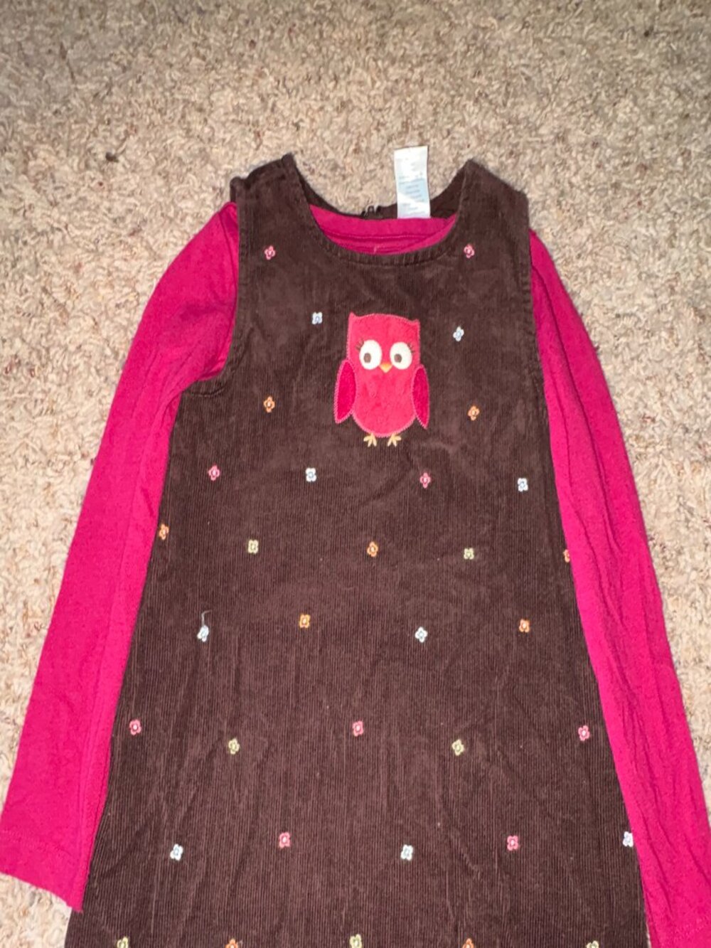Vintage Gymboree Brown Corduroy Owl Jumper & Pink Shirt Set 4T
